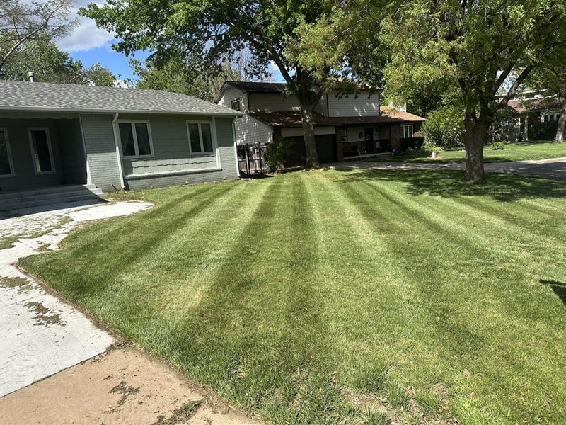 Striped lawn after a weekly mow by Graf Lawncare